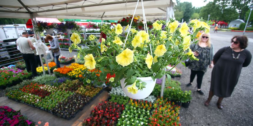 Na Bundeku je svečano otvorena 52. međunarodna vrtna izlozba Floraart