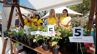 Đir po gradu, četvrtak 19. travnja 2018. Đir po gradu, četvrtak 19. travnja 2018.