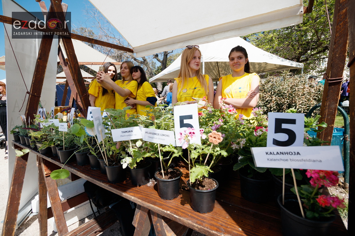 Đir po gradu, četvrtak 19. travnja 2018. Đir po gradu, četvrtak 19. travnja 2018.