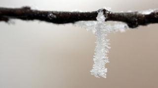 Zbog jutarnjih temperatura u minusu raslinje na kontinentu je prekriveno injem