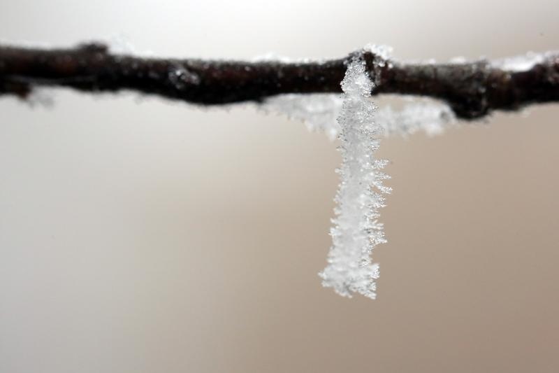 Zbog jutarnjih temperatura u minusu raslinje na kontinentu je prekriveno injem