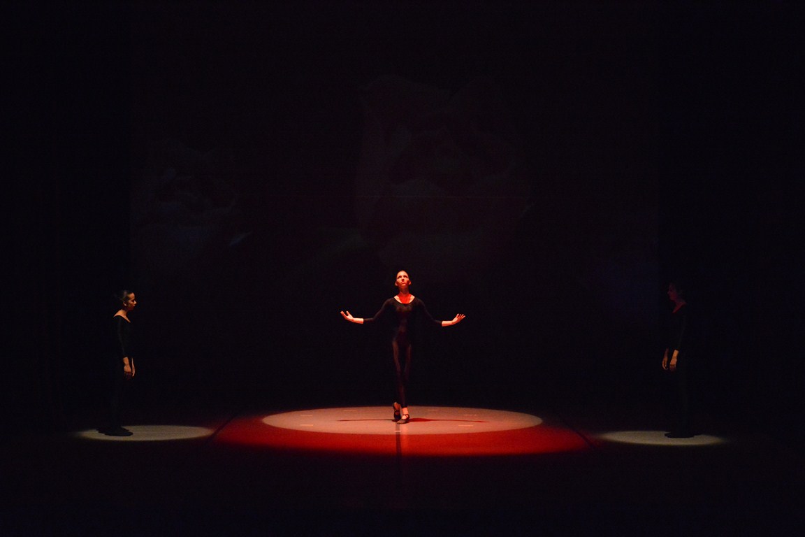 “Baletna raspodija” u HNK Zadar, udruga Pirueta