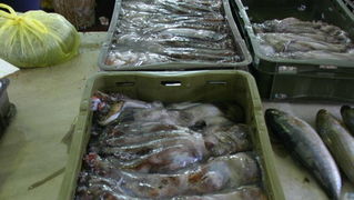 Image 1201843 (auto)