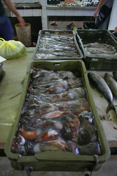 Image 1201843 (auto)