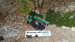 Mljet: Nasukana morska sirena Mljet: Nasukana morska sirena