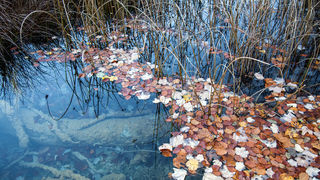 Boje jeseni na Plitvičkim jezerima