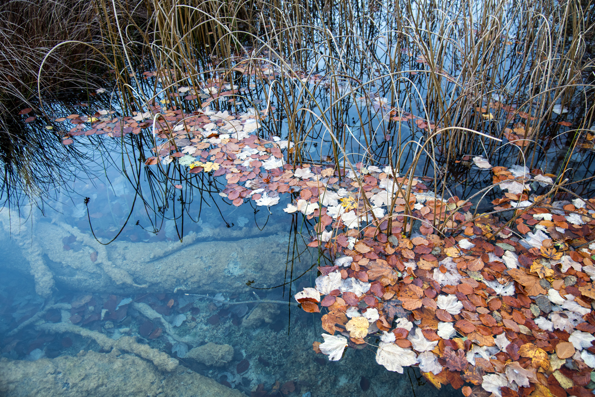 Boje jeseni na Plitvičkim jezerima