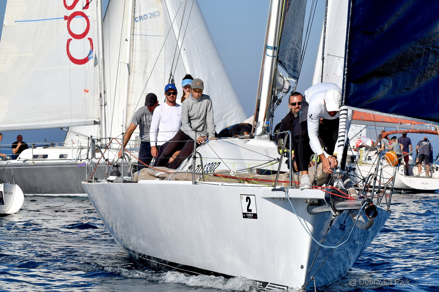 Sva lica “Zadarske koke” Sva lica “Zadarske koke”