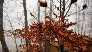 Sjeverni Velebit i Lika u jesen Sjeverni Velebit i Lika u jesen