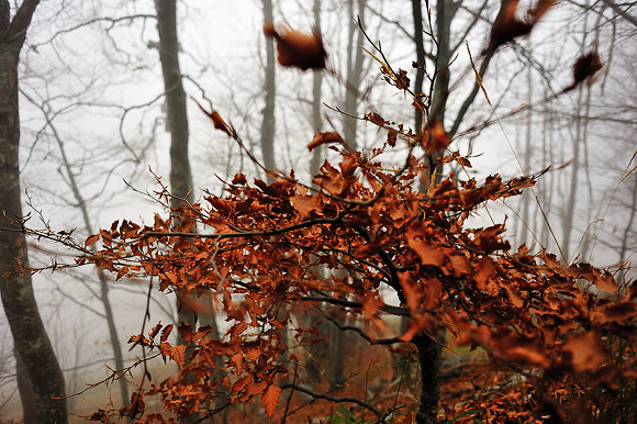 Sjeverni Velebit i Lika u jesen Sjeverni Velebit i Lika u jesen