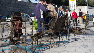 Ronilacki klub Sv. Roko – čišćenje, uvala Jazine, foto: Leo Banić