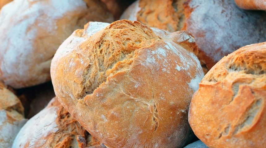 Kruh ilustracija Kruh ilustracija