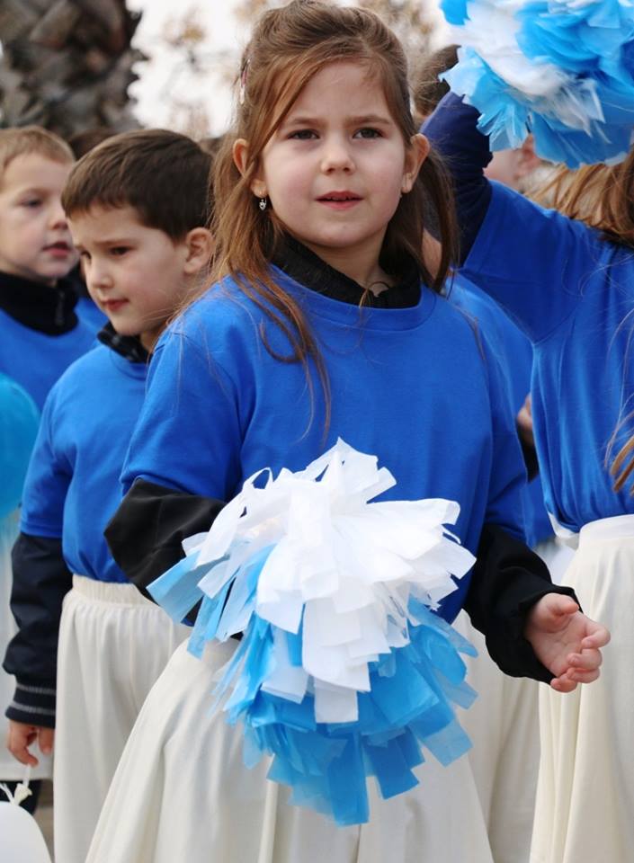 Virski Karnevalić 2017.