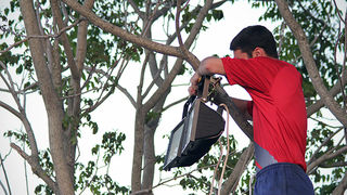 Trening zadarskih ragbijaša u Zemuniku (foto:Saša Čuka)