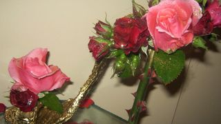 Kreativni radovi Željka Kulaša Kreativni radovi Željka Kulaša