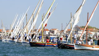 Murter, 021011.
U Murteru odrzana tradicionalna regata brodica ” Latinsko idro” gdje je sudjelovalo sedamdesetak posada.
Na slici: regata.
Foto: Jadran Babic / CROPIX Murter, 021011.
U Murteru odrzana tradicionalna regata brodica ” Latinsko idro” gdje je sudjelovalo sedamdesetak posada.
Na slici: regata.
Foto: Jadran Babic / CROPIX