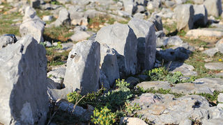 Ako ste u mogućnosti za mali izlet, posjetite Stap – veliko krško polje na Južnom Velebitu, na 960 m visine, foto: Vedran Penga