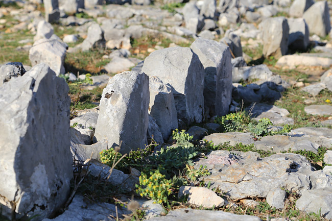 Ako ste u mogućnosti za mali izlet, posjetite Stap – veliko krško polje na Južnom Velebitu, na 960 m visine, foto: Vedran Penga