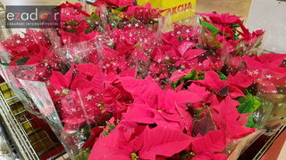 Otvorena obnovljena trgovina SPAR u centru Supernova Zadar