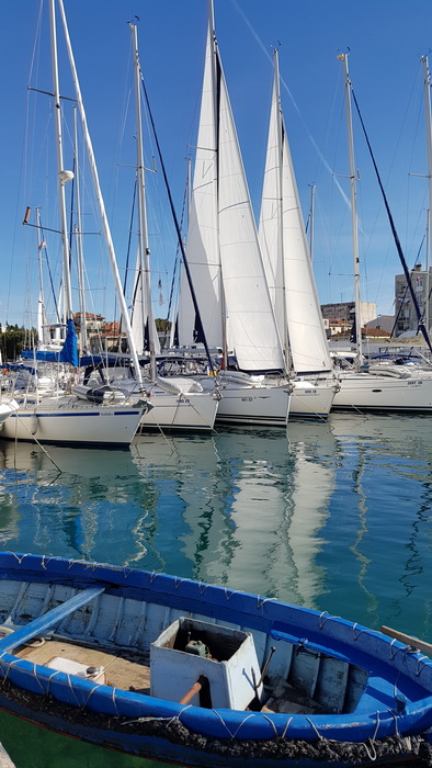 Đir po gradu 19. listopada 2016.