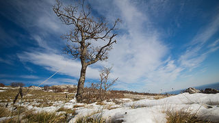 Đir do Libinja 9. travnja 2012. (foto:Saša Čuka) Đir do Libinja 9. travnja 2012. (foto:Saša Čuka)
