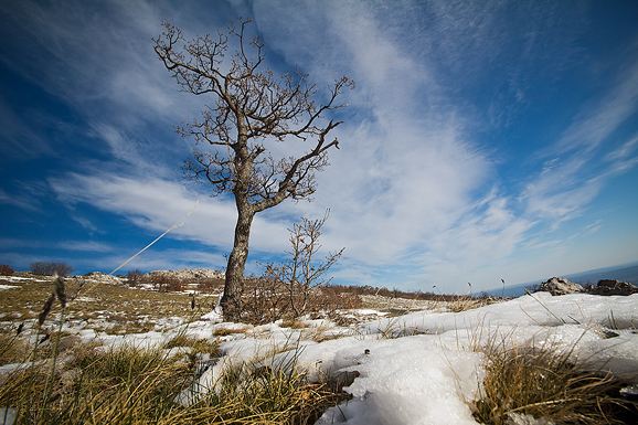 Đir do Libinja 9. travnja 2012. (foto:Saša Čuka) Đir do Libinja 9. travnja 2012. (foto:Saša Čuka)