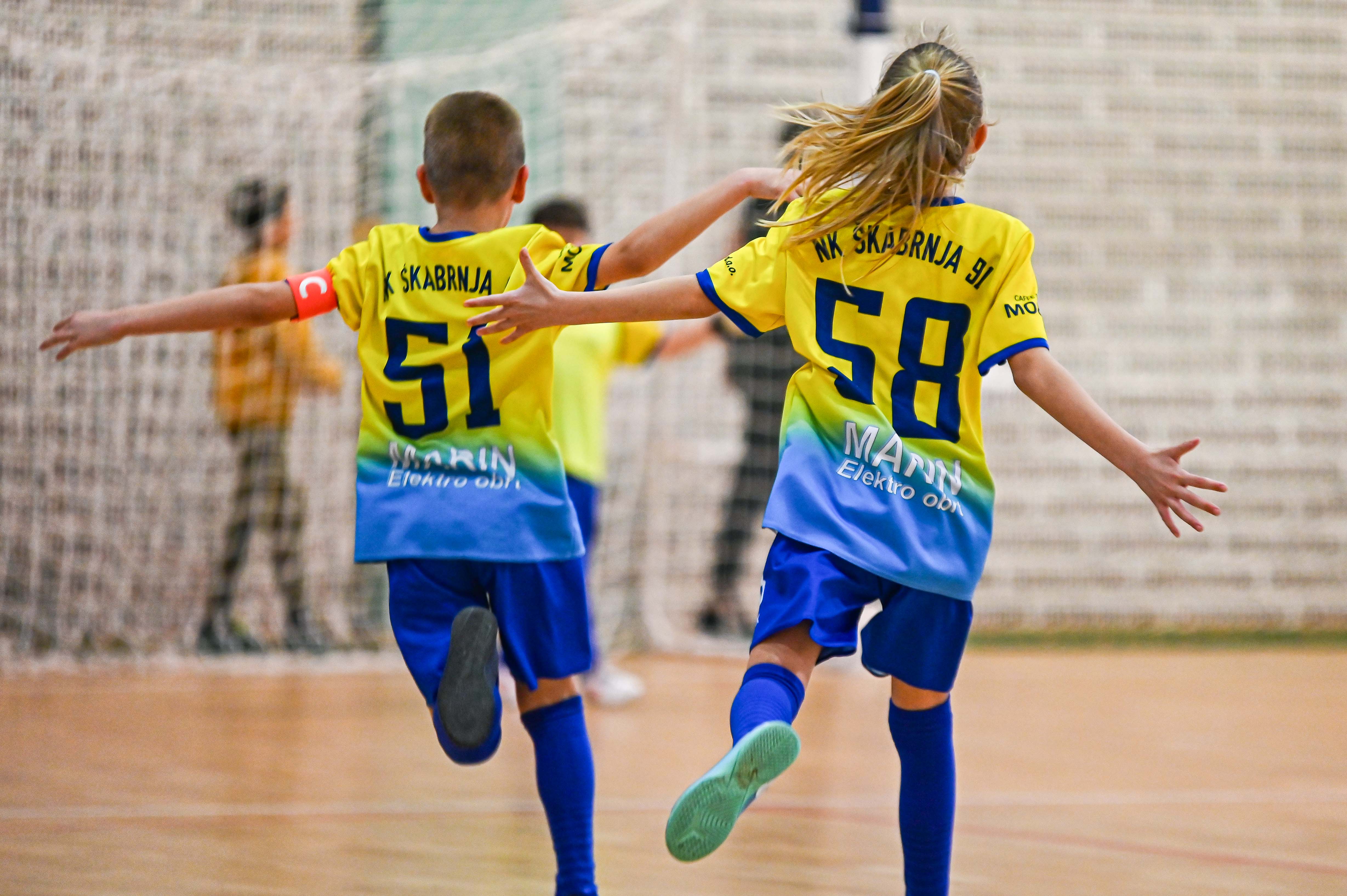 1.Cateleya indoor Cup 1.Cateleya indoor Cup