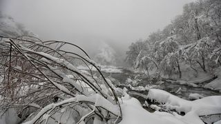 Zimska idila na snijegom prekrivenim Plitvičkim jezerima Zimska idila na snijegom prekrivenim Plitvičkim jezerima