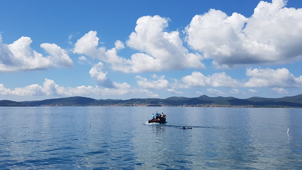 KPA Zadar: Vježba “Podvodni radovi i komunikacije te podvodna orijentacija” kod Morskih orgulja. Foto: Mladen Malik KPA Zadar: Vježba “Podvodni radovi i komunikacije te podvodna orijentacija” kod Morskih orgulja. Foto: Mladen Malik