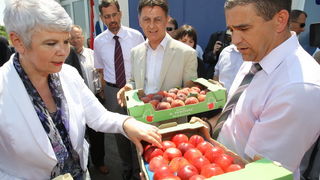Zadar, 170710.
Jadranka Kosor pustila je u rad sustav za navodnavanje na poljoprivrednom podrucju Bastica.
Na slici: gradonacelnik Benkovca Branko Kutija i dogradonacelnik Mirko Erstic ponudili su premijerki breskve s ovog podrucja.
Foto: Vladimir Ivanov