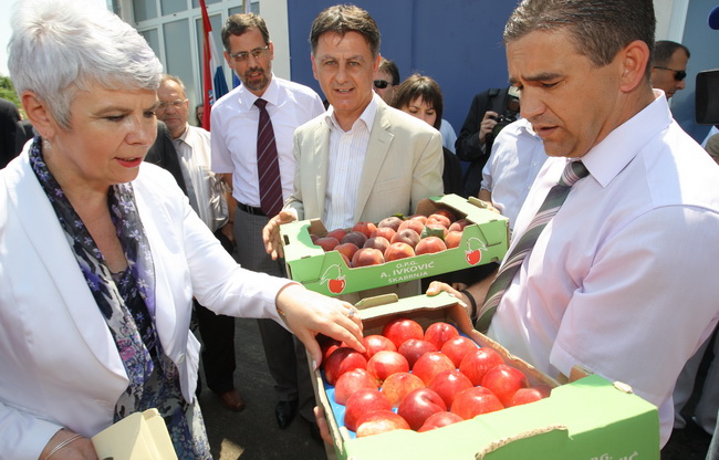 Zadar, 170710.
Jadranka Kosor pustila je u rad sustav za navodnavanje na poljoprivrednom podrucju Bastica.
Na slici: gradonacelnik Benkovca Branko Kutija i dogradonacelnik Mirko Erstic ponudili su premijerki breskve s ovog podrucja.
Foto: Vladimir Ivanov