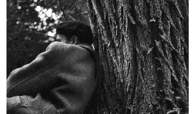 Zvonimir Brkan – ‘Majka zemlja’, 1953.