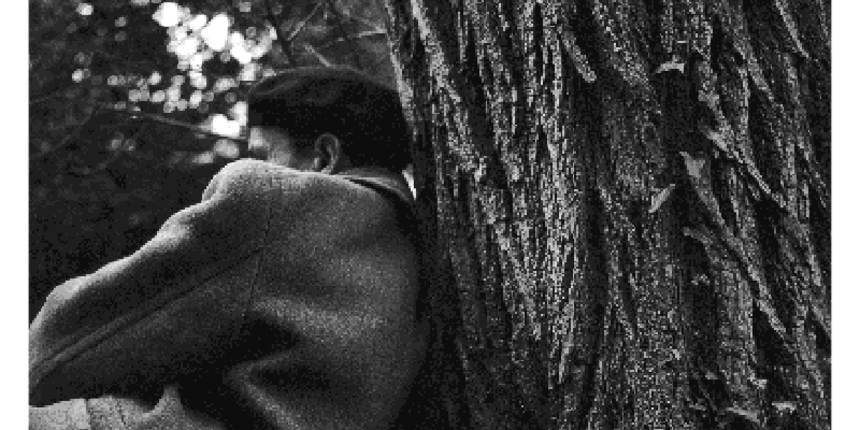 Zvonimir Brkan – ‘Majka zemlja’, 1953. Zvonimir Brkan – ‘Majka zemlja’, 1953.