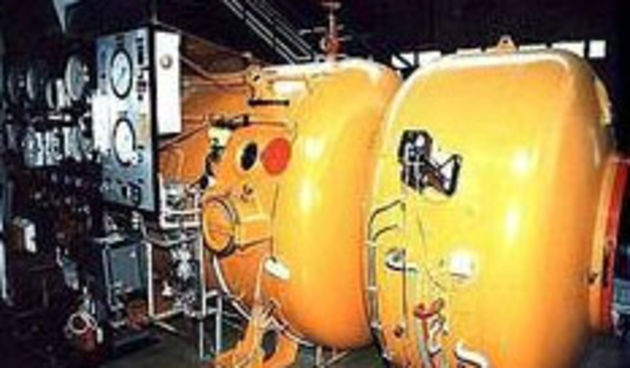 Barokomora (foto: hrt.hr)