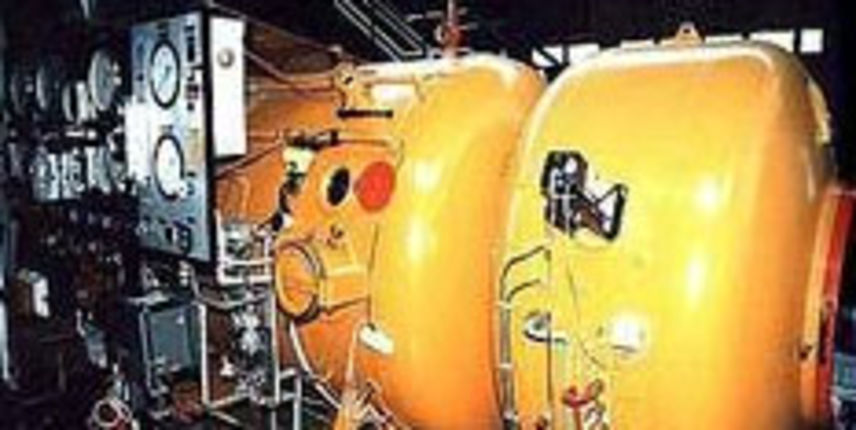 Barokomora (foto: hrt.hr) Barokomora (foto: hrt.hr)