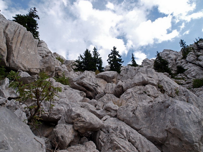 Nedjelja na Zavizanu