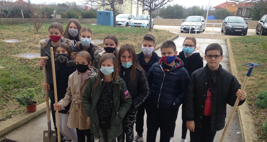 Oslikani zid, fotografije i biljke za ispraćaj prvog polugodišta Oslikani zid, fotografije i biljke za ispraćaj prvog polugodišta