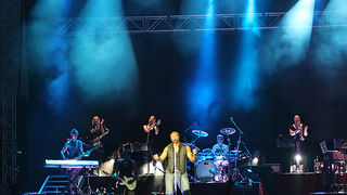 Seal u Zadru 14. srpnja 2010. (foto:Saša Čuka)