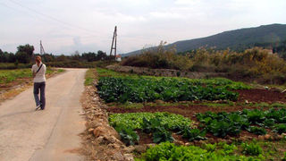 Image 1190445 (auto)