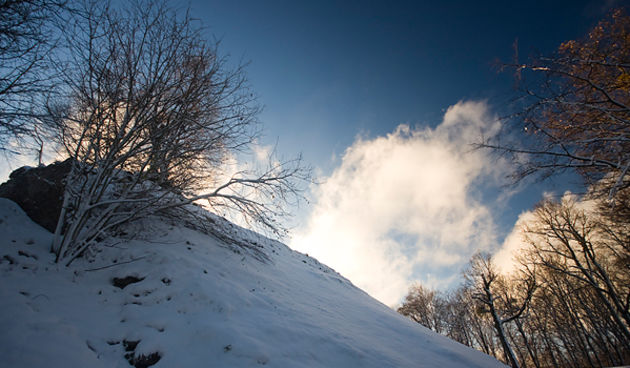 Snijeg na Sljemenu 27. studenog (foto:Saša Čuka)