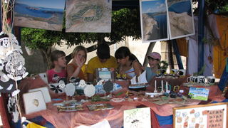 Crna ovca u Baški na otoku Krku Crna ovca u Baški na otoku Krku