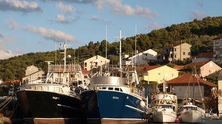 Kualjska tunuara 2010, Foto: Vedran Penga