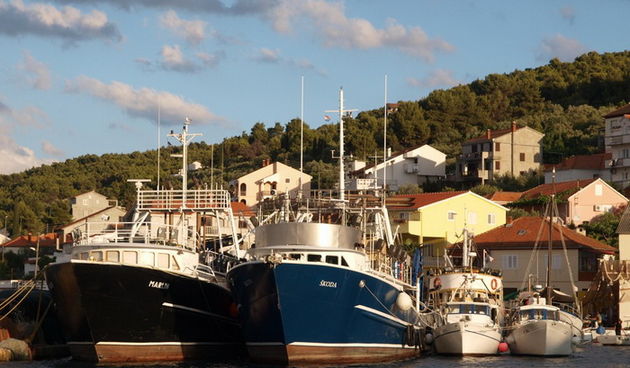 Kualjska tunuara 2010, Foto: Vedran Penga
