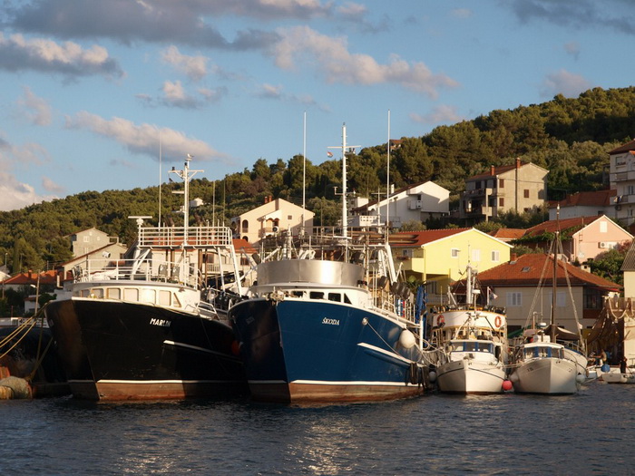 Kualjska tunuara 2010, Foto: Vedran Penga