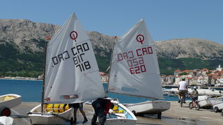 Crna ovca u Baški na otoku Krku Crna ovca u Baški na otoku Krku