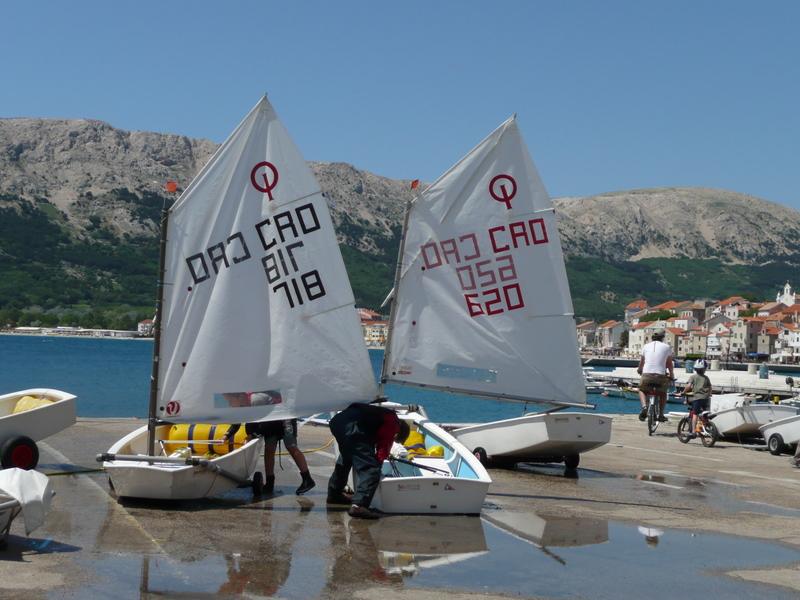 Crna ovca u Baški na otoku Krku Crna ovca u Baški na otoku Krku