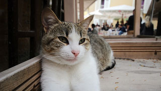 Subotnji šušur u gradu 27. travnja 2013. Foto: Mia Čop Subotnji šušur u gradu 27. travnja 2013. Foto: Mia Čop