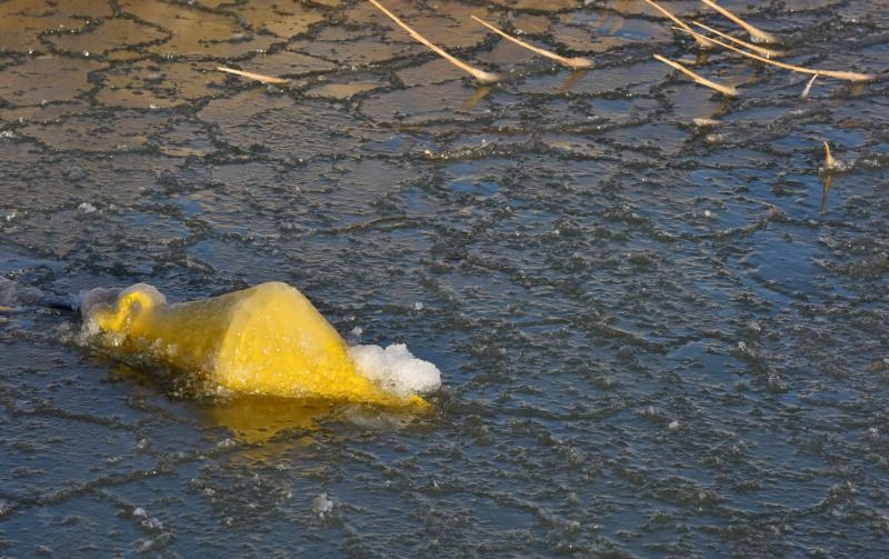 Zaledilo Vransko jezero u lučici na Prosici