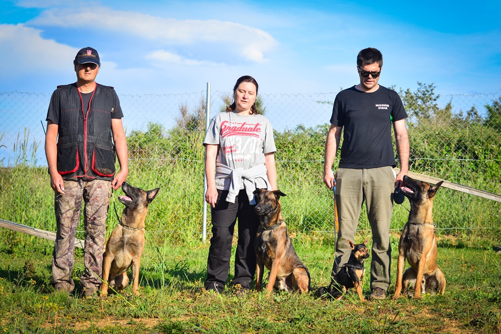 Kinološka udruga Malinois