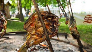 Halid Bešlić otvorio Jarun piknik festival